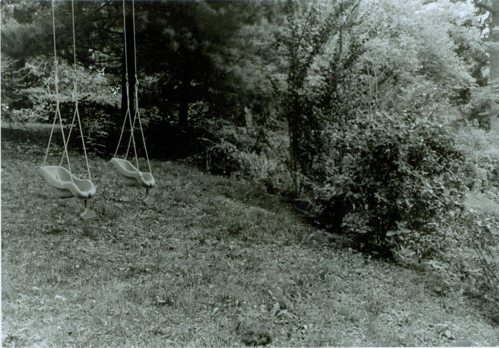 Swings in solitude