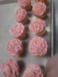 Pink Buttercream Frills 2