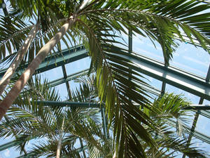 Ceiling of the mall