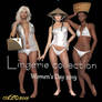 lingerie collection women's day