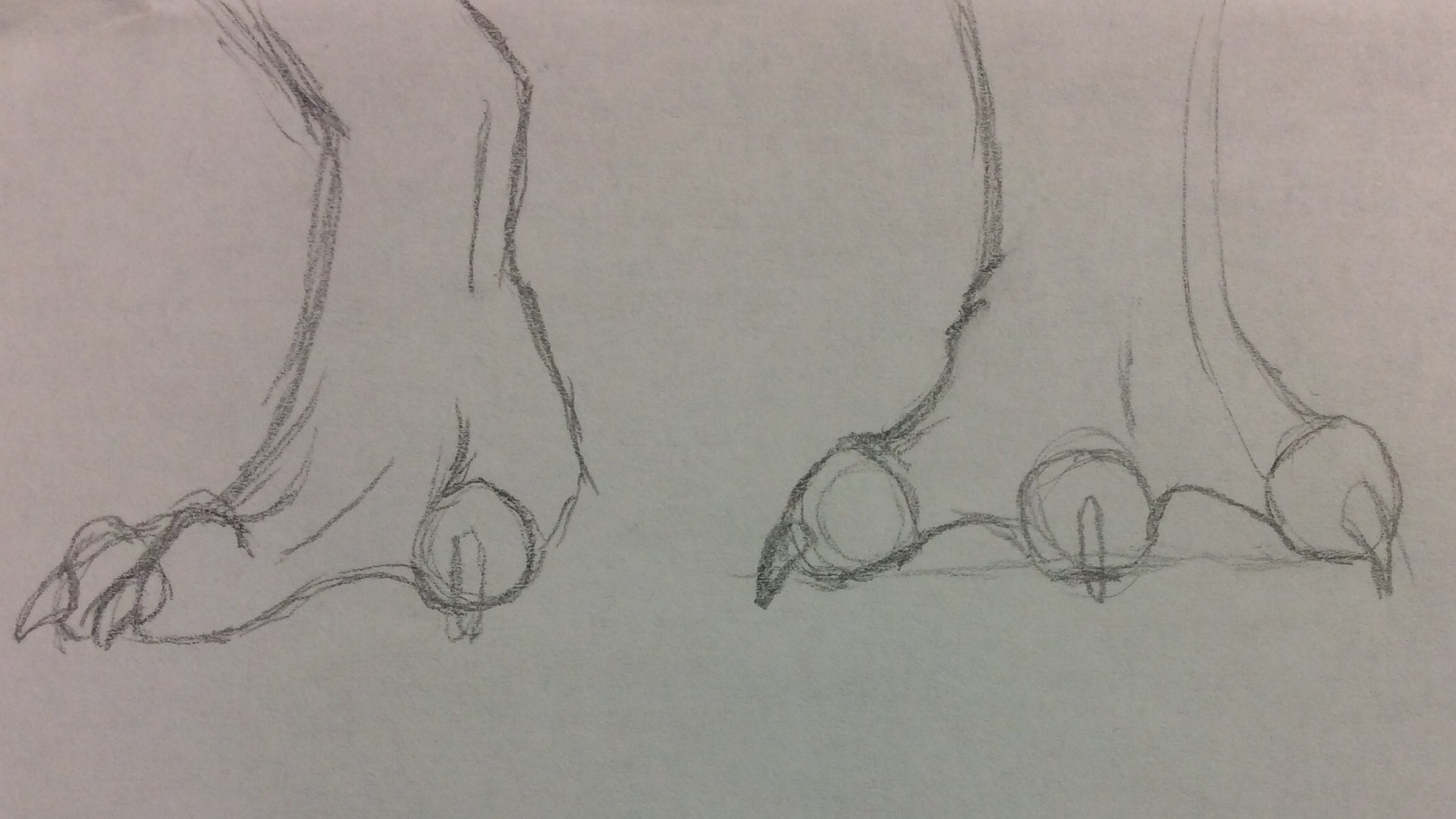 Dragon Feet practice by Bestestcat