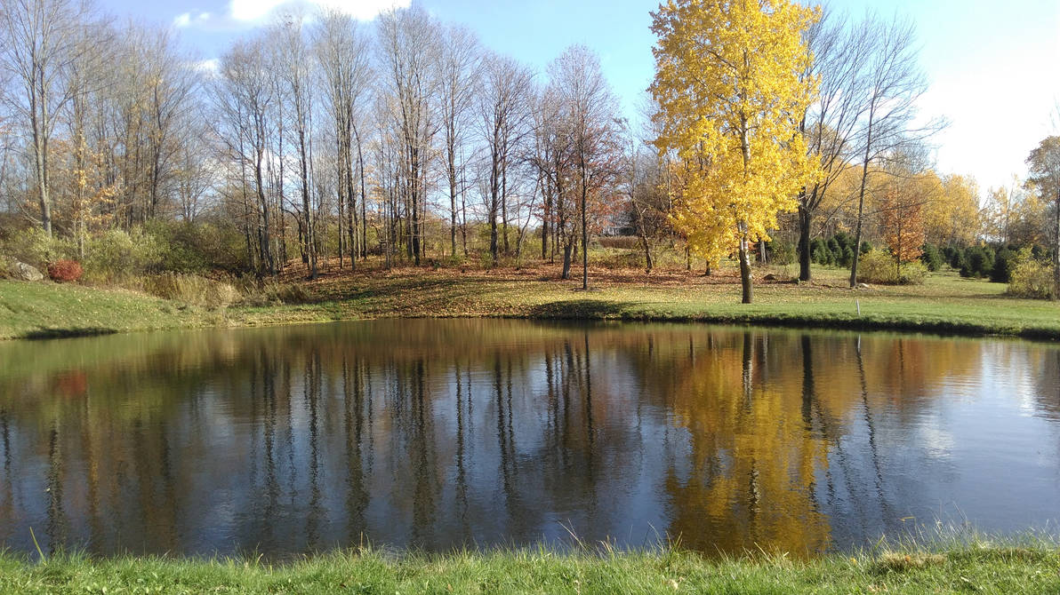 Reflecting Fall by Bestestcat