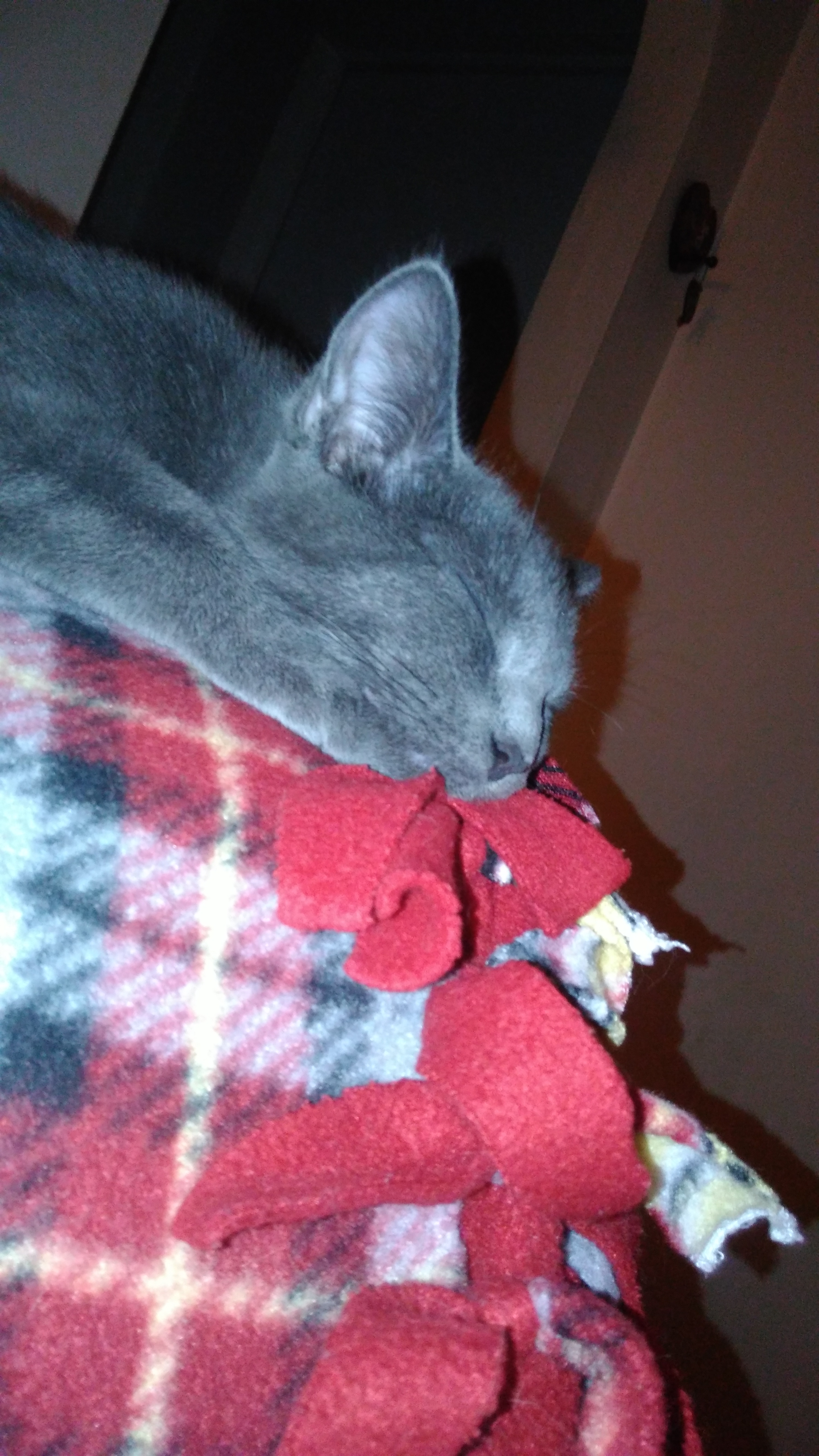 Movie Pillow by Bestestcat