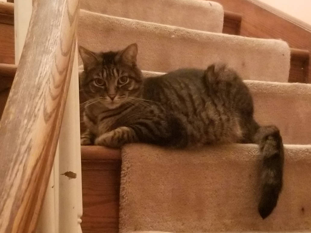 What's Going on Down There? by Bestestcat
