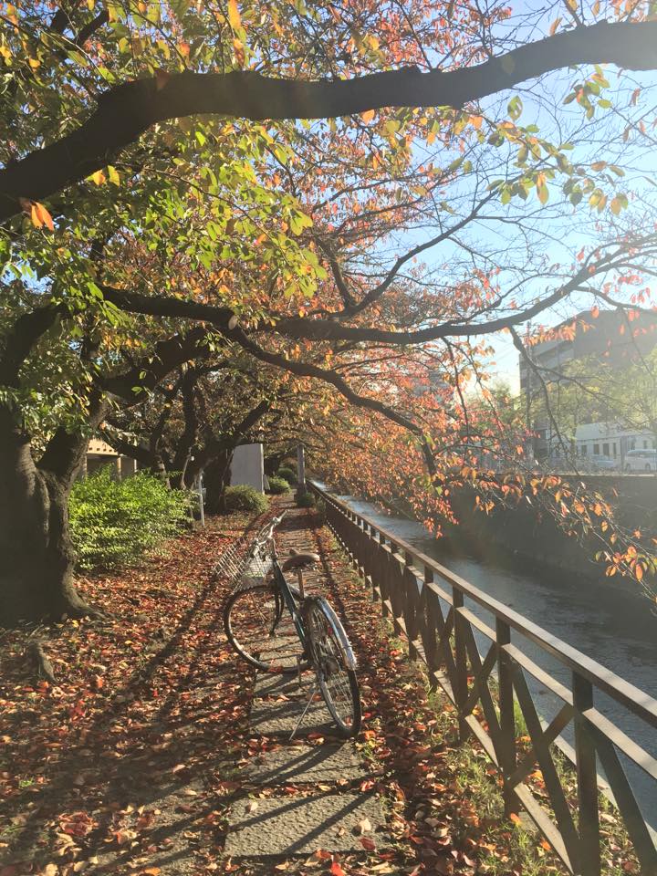 Cycling Journey