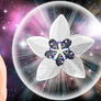 Silver Star Crystal Hoya (Flower/ Lotus Form)