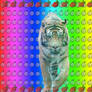 psychedelic tiger