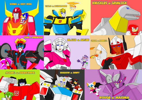 Autobot  Sonic Partners