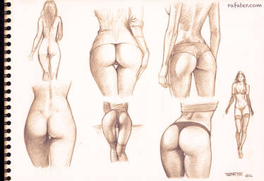 buttocks studies - pencil drawing