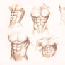 Male torso study for the six pack lovers