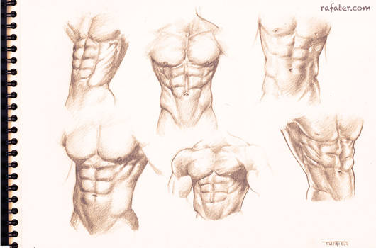 Male torso study for the six pack lovers