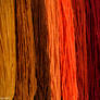 Coloured wool