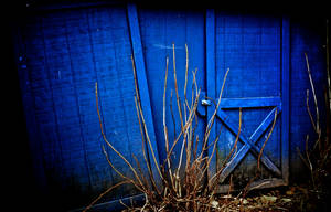 Blue Door