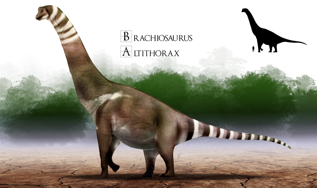 Paleoart: Brachiosaurus Altithorax by vcubestudios on DeviantArt