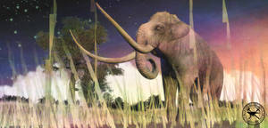 Paleo-Art: Mammoth At Sunset by vcubestudios
