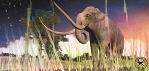 Paleo-Art: Mammoth At Sunset by vcubestudios Paleo-Art: Mammoth At Sunset by vcubestudios