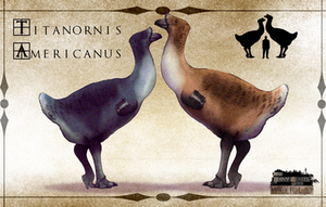TMHOTW: Titanornis Americanus by vcubestudios TMHOTW: Titanornis Americanus by vcubestudios