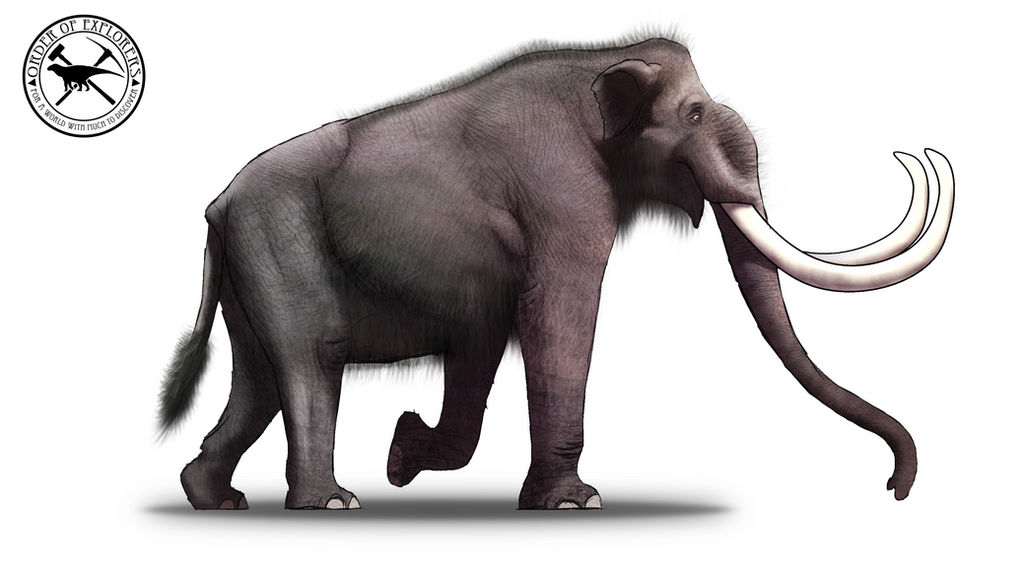 Paleo-Art: Columbian Mammoth by vcubestudios Paleo-Art: Columbian Mammoth by vcubestudios