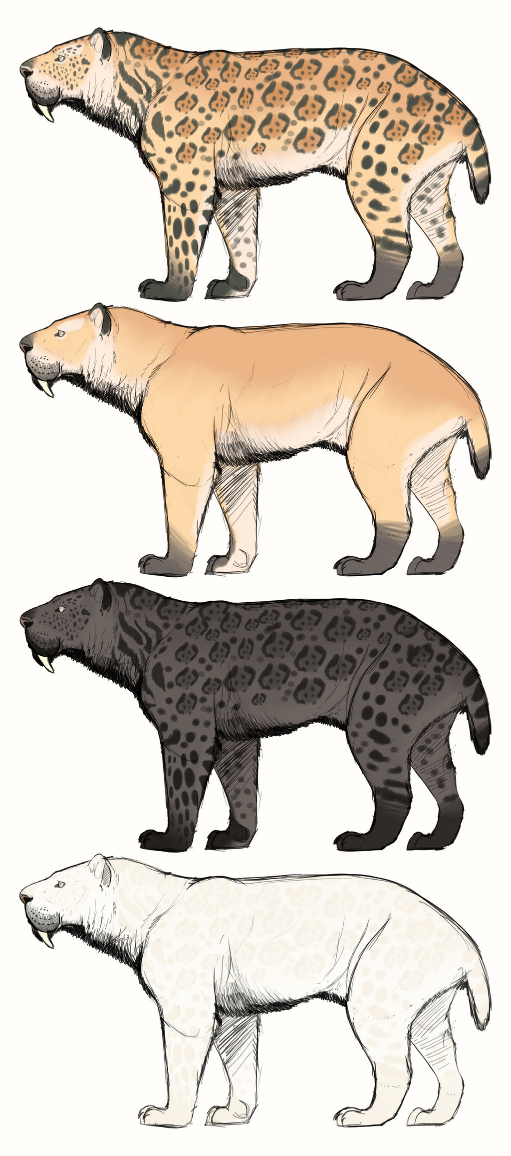 Smilodon Color Paleo-Art: Smilodon Palette sample by vcubestudios on DeviantArt