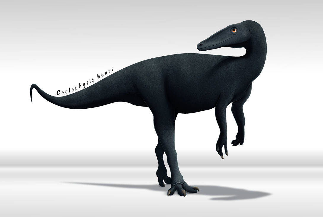 PaleoArt Coelophysis bauri by vcubestudios on DeviantArt
