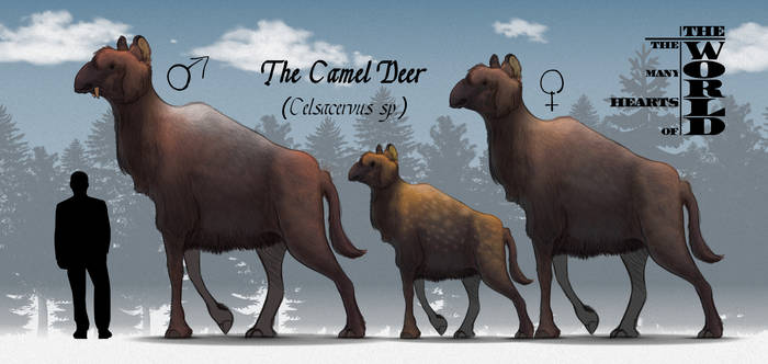 TMHOTW: The Camel Deer