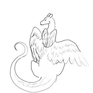 Dragon Sketch