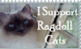 I Support Ragdolls