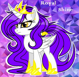 Royal Shine #4