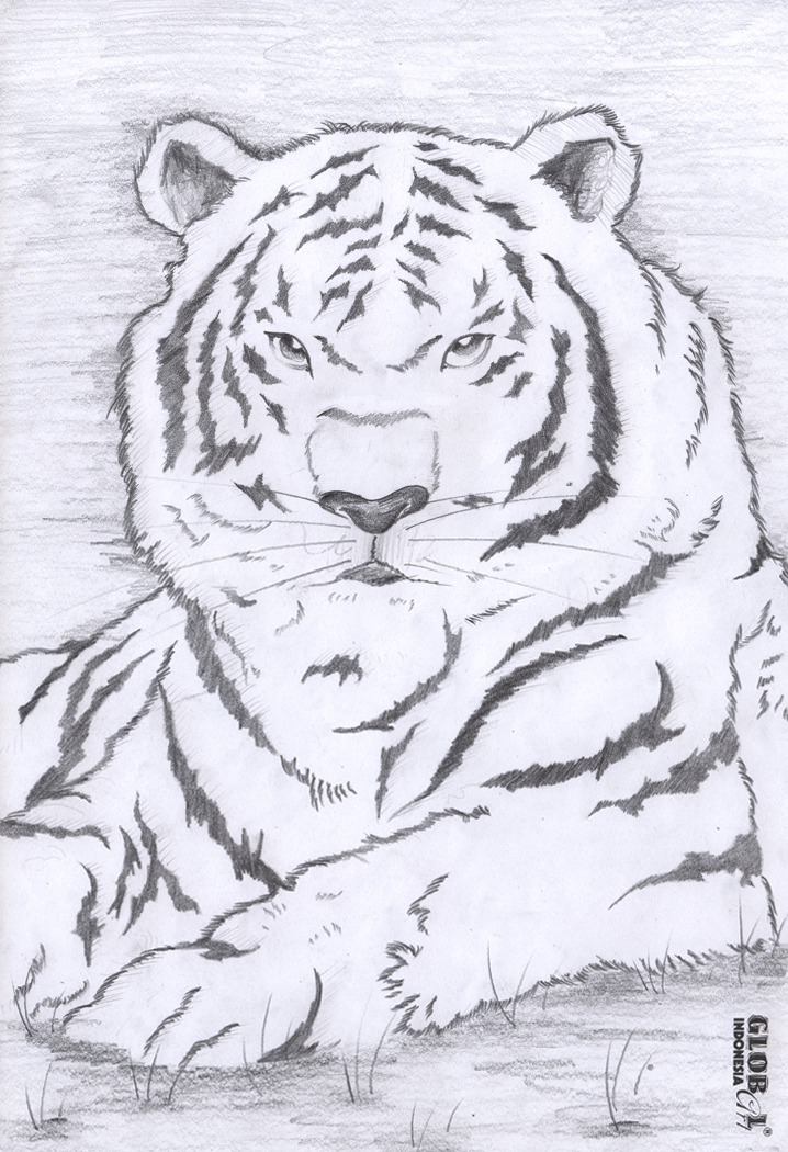 White Tiger