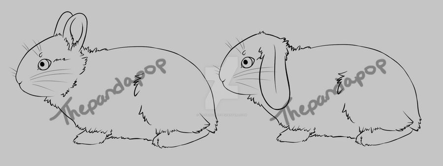 P2U 20p Dwarf Rabbit Lines by Thepandapop on DeviantArt