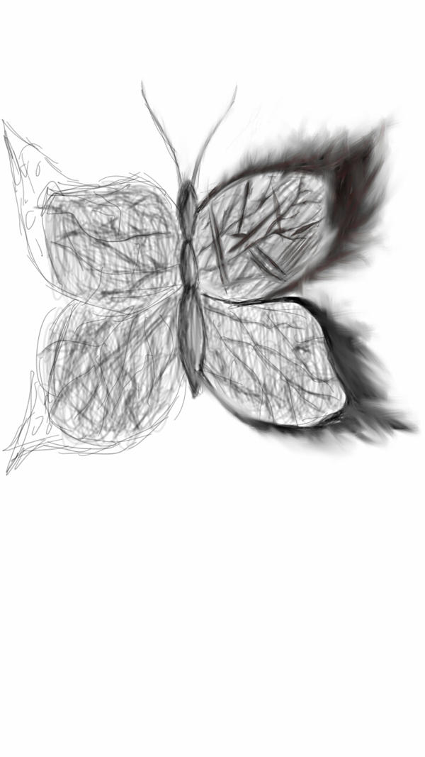 Flying Insect Perspective Drawing FLYING INSECT by Nataliemarie19 on DeviantArt