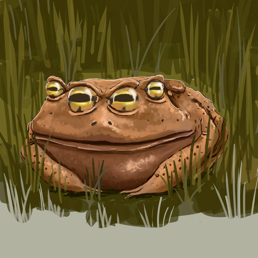 Mutant Toad by KingRedDark on DeviantArt