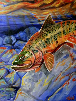 sunset trout