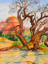 Utah desert tree watercolor
