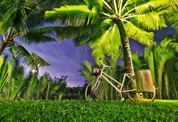 Waterway Hotel Resort - Hoi An (Vietnam)