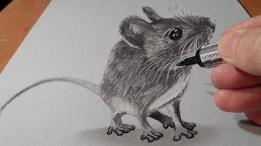 Drawing Mouse 3D