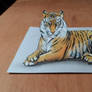 3D Drawing Tiger