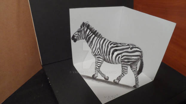 Drawing 3D Zebra, Trick Art on Paper