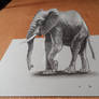 3D Elephant, High resolution