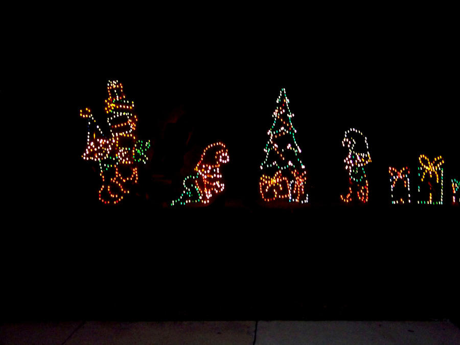 christmas lights in park