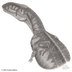 Abelisaurus comahuensis