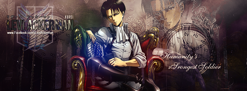 Levi Cover