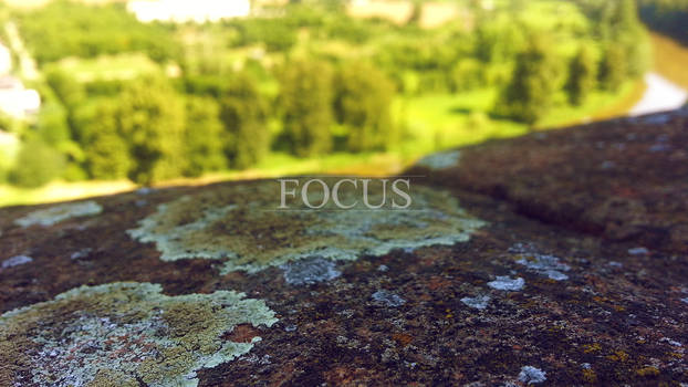 Focus