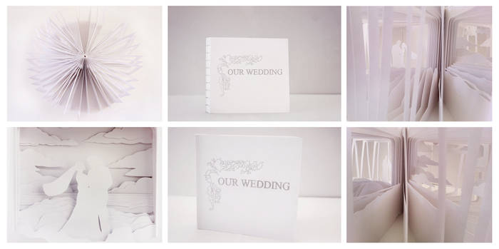 360 Degree Book- Our Wedding