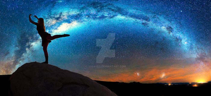 Joshua Tree x Milky Way