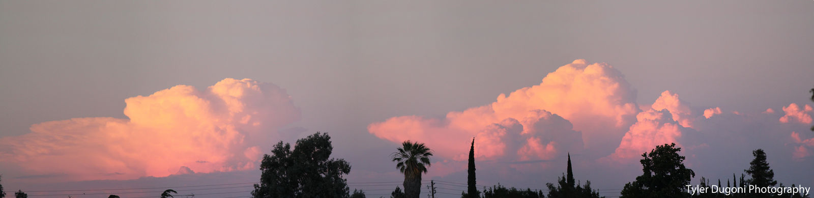 Sky Lit Cloud Panorama