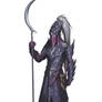 Drow Temple Guard