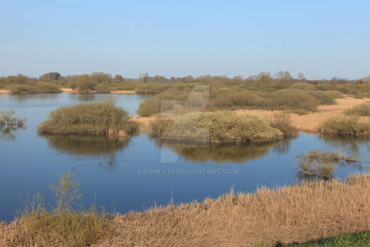 Early spring in Holland