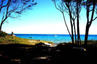 moreton island