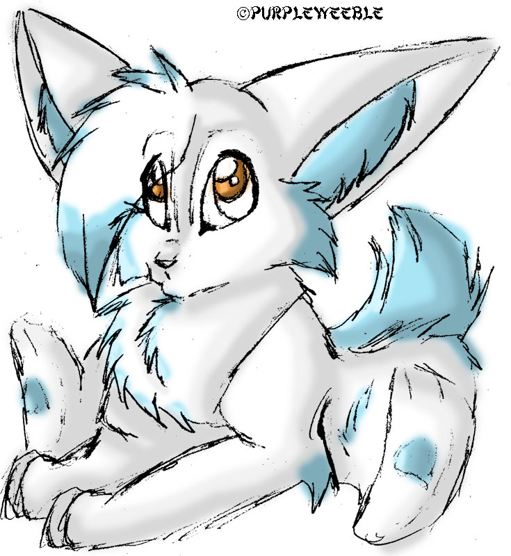 Cabbit